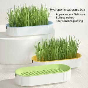 Reusable Hydroponic Planter For Cat Grass